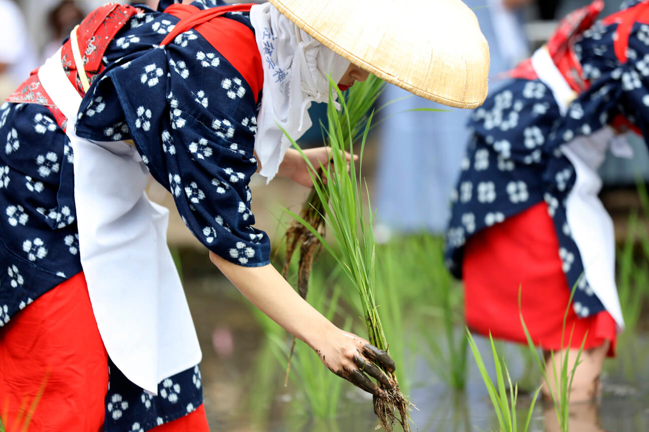 伊佐須美神社 御田植祭