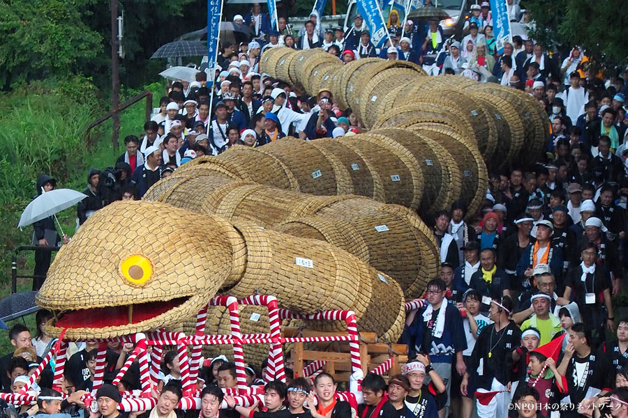 えちごせきかわ大したもん蛇まつり1