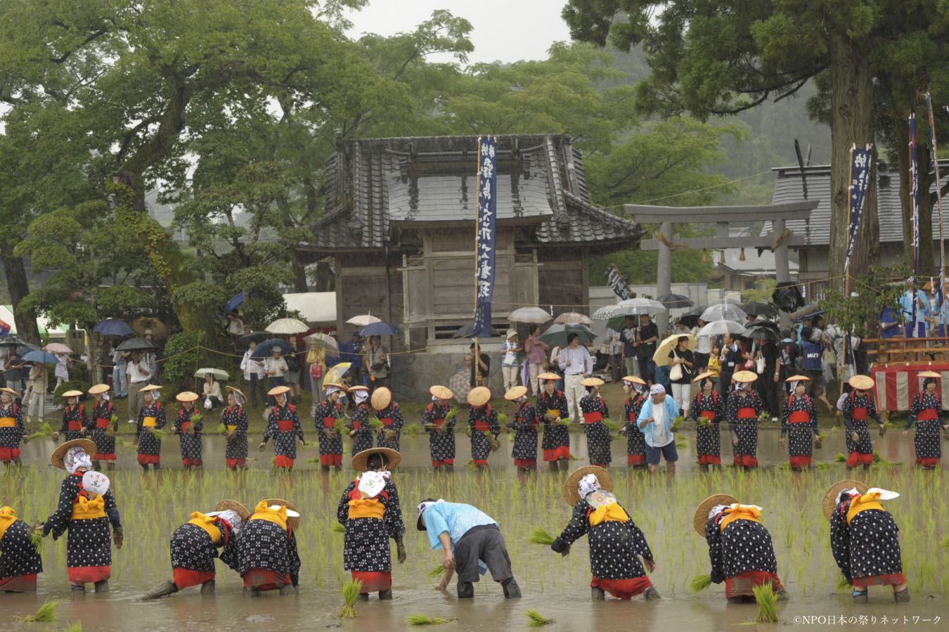 美郷町の御田祭