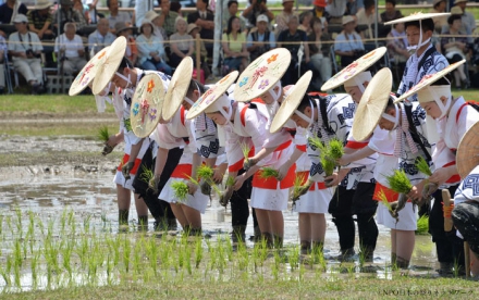 磯部の御神田2