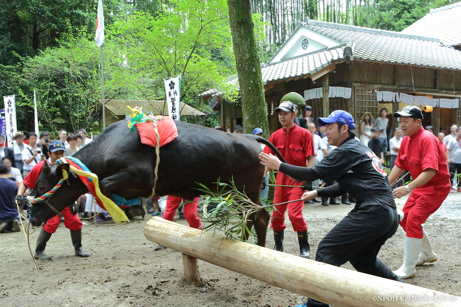 牛越祭