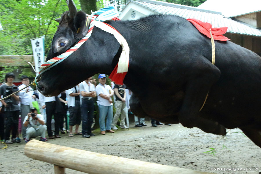 牛越祭2