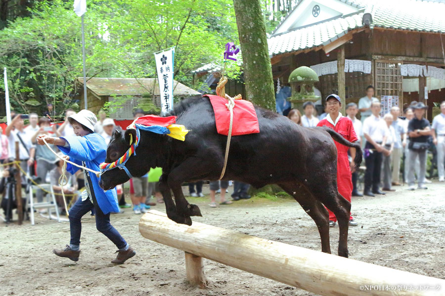 牛越祭3