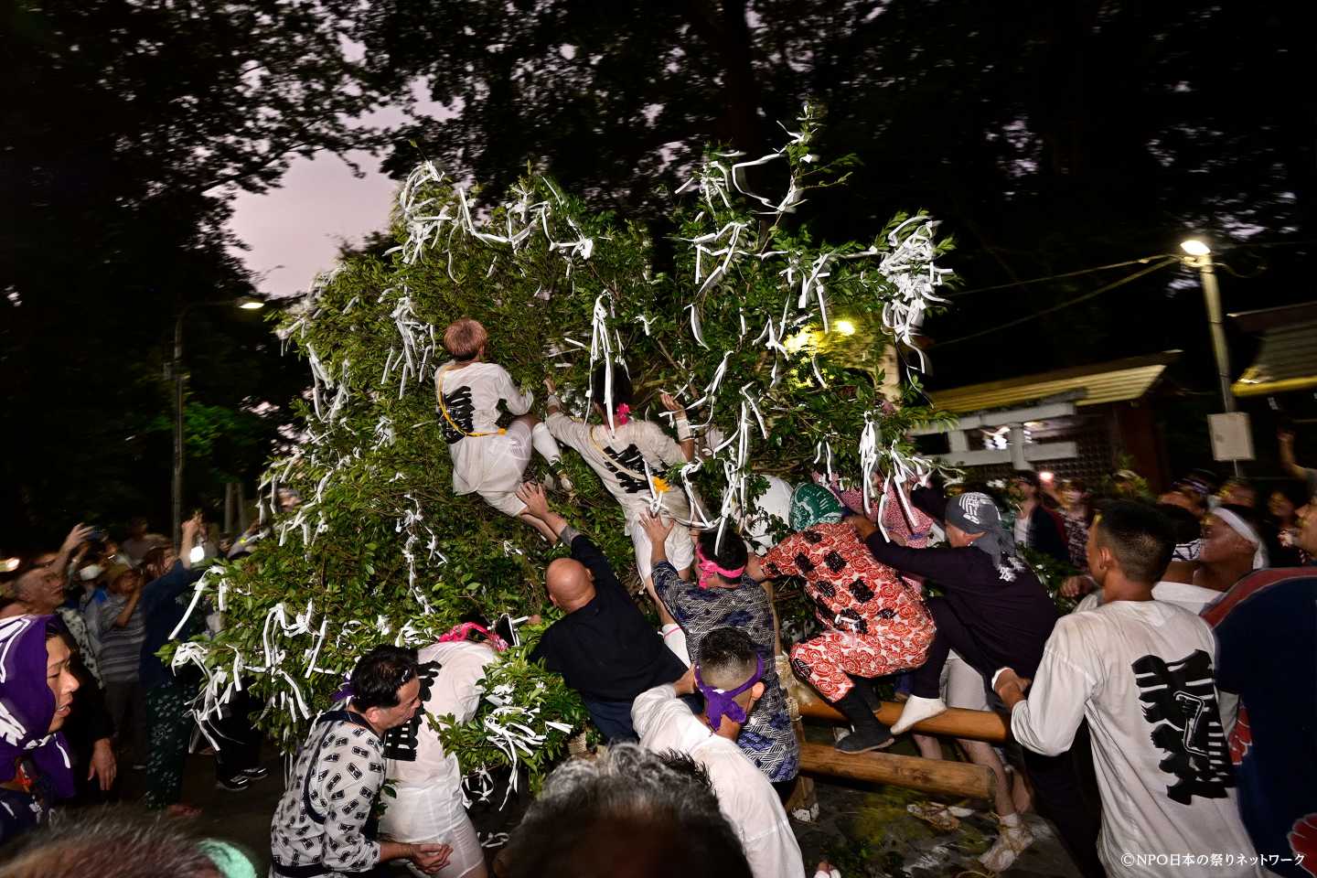 日吉神社 榊祭7